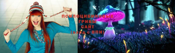 молекула духа Карпинск