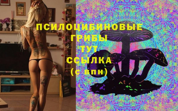 гидропоника Киренск