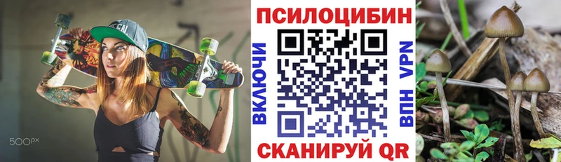 купить  сайты  Ессентуки  Галлюциногенные грибы ЛСД 
